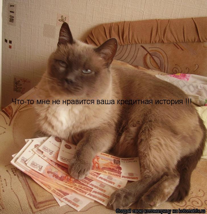 Что-то мне не нравится ваша кредитная история !!!... Котоматрица: Что-то мне не нравится ваша кредитная история !!!