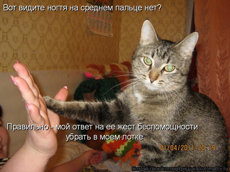 Вот видите ногтя на среднем пальце нет? Правильно - мой ответ на ее жест беспомощности убрать в моем ... Котоматрица: Вот видите ногтя на среднем пальце нет? Правильно - мой ответ на ее жест беспомощности убрать в моем лотке
