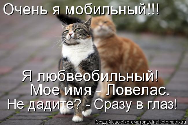 Очень я мобильный!!! Мое имя - Ловелас. Не дадите? - Сразу в глаз! Я любвеобильный!... Котоматрица: Очень я мобильный!!! Мое имя - Ловелас. Не дадите? - Сразу в глаз! Я любвеобильный!
