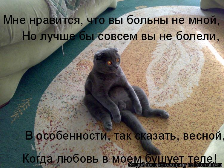 Мне нравится, что вы больны не мной, Но лучше бы совсем вы не болели, В особенности, так сказать, в... Котоматрица: Мне нравится, что вы больны не мной, Но лучше бы совсем вы не болели, В особенности, так сказать, весной, Когда любовь в моем бушует теле!