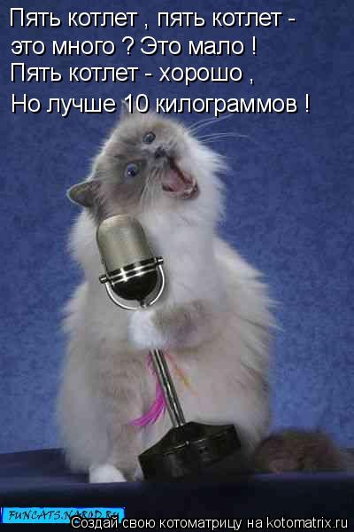 Пять котлет , пять котлет - это много ? Это мало ! Пять котлет - хорошо , Но лучше 10 килограммов !... Котоматрица: Пять котлет , пять котлет - это много ? Это мало ! Пять котлет - хорошо , Но лучше 10 килограммов !