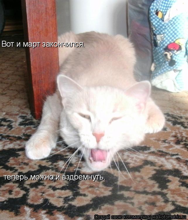 Вот и март закончился. теперь можно и вздремнуть.... Котоматрица: Вот и март закончился. теперь можно и вздремнуть.