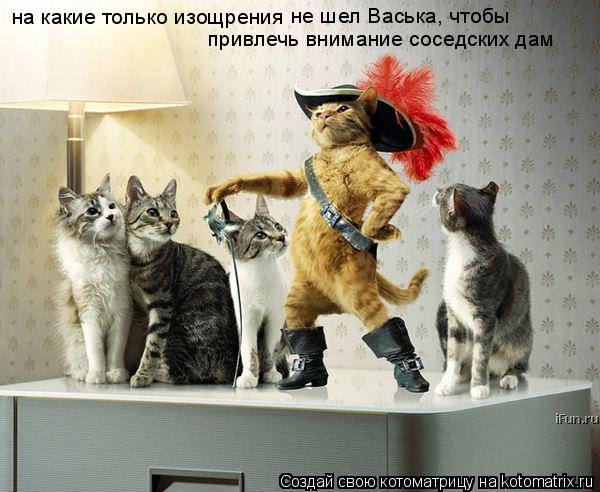 на какие только изощрения не шел Васька, чтобы привлечь внимание соседских дам... Котоматрица: на какие только изощрения не шел Васька, чтобы привлечь внимание соседских дам