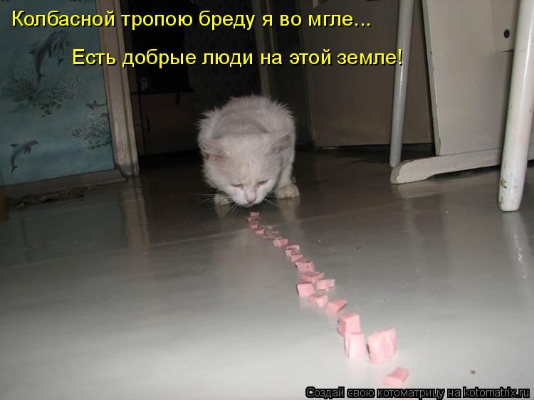 Котоматрица: Колбасной тропою бреду я во мгле... Есть добрые люди на этой земле!