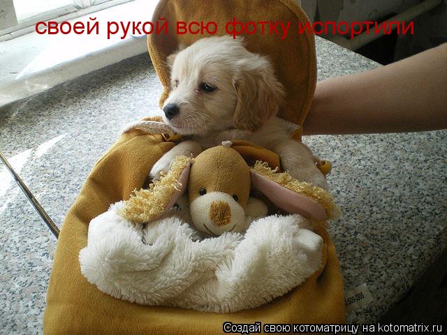 своей рукой всю фотку испортили... Котоматрица: своей рукой всю фотку испортили