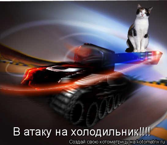 В атаку на холодильник!!!!... Котоматрица: В атаку на холодильник!!!!