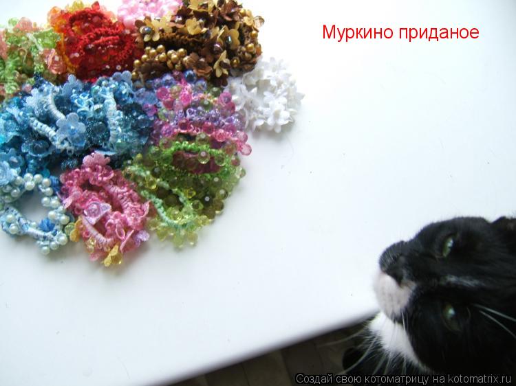 Котоматрица: Муркино приданое