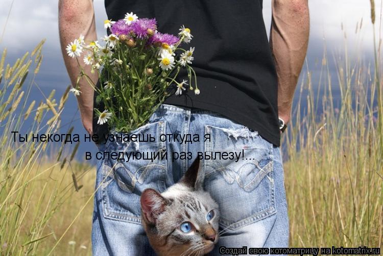 Котоматрица: Ты некогда не узнаешь откуда я  в следующий раз вылезу!...