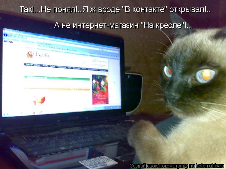 Котоматрица: Так!...Не понял!..Я ж вроде "В контакте" открывал!.. А не интернет-магазин "На кресле"!...