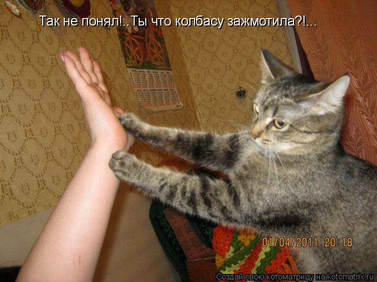 Котоматрица: Так не понял!..Ты что колбасу зажмотила?!...