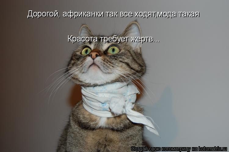 Котоматрица: Дорогой, африканки так все ходят,мода такая Красота требует жертв...