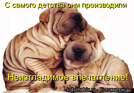 С самого детства они производили Неизгладимое впечатление!... Котоматрица: С самого детства они производили Неизгладимое впечатление!