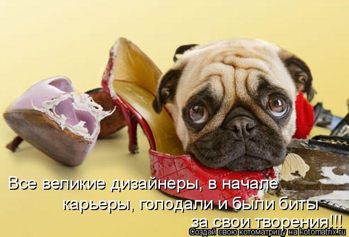 Все великие дизайнеры, в начале карьеры, голодали и были биты за свои творения!!!... Котоматрица: Все великие дизайнеры, в начале карьеры, голодали и были биты за свои творения!!!