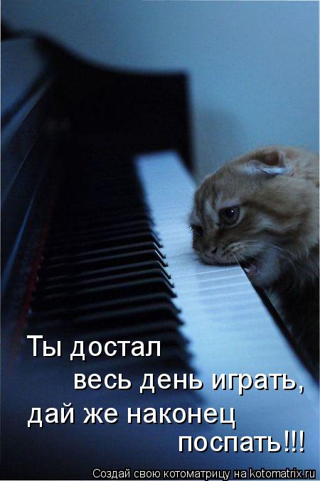 поспать!!! дай же наконец весь день играть, Ты достал... Котоматрица: поспать!!! дай же наконец весь день играть, Ты достал