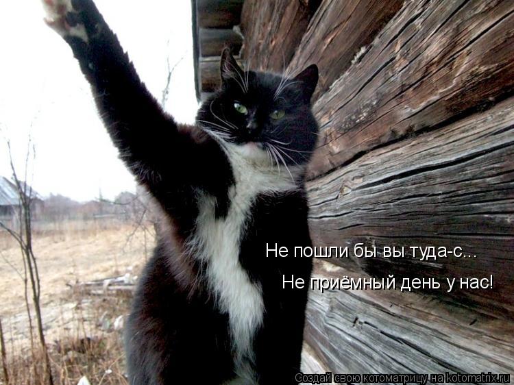 Не пошли бы вы туда-с... Не приёмный день у нас!... Котоматрица: Не пошли бы вы туда-с... Не приёмный день у нас!