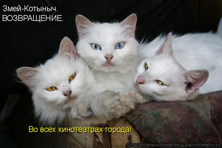 Змей-Котыныч. ВОЗВРАЩЕНИЕ. Во всех кинотеатрах города!... Котоматрица: Змей-Котыныч. ВОЗВРАЩЕНИЕ. Во всех кинотеатрах города!