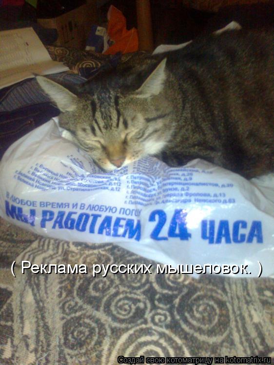 ( Реклама русских мышеловок. )... Котоматрица: ( Реклама русских мышеловок. )