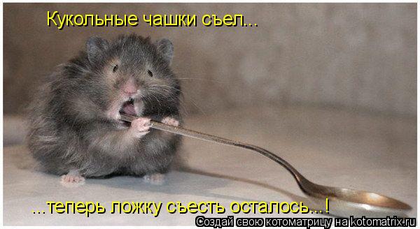 Кукольные чашки съел... ...теперь ложку съесть осталось...!... Котоматрица: Кукольные чашки съел... ...теперь ложку съесть осталось...!