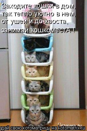 Заходите кошки в дом, так тепло уютно в нем, от ушей и до хвоста, занимай кошкоместА !... Котоматрица: Заходите кошки в дом, так тепло уютно в нем, от ушей и до хвоста, занимай кошкоместА !