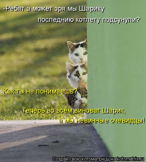 -Ребят а может зря мы Шарику последнию котлету подсунули? Как ты не понимаешь? Теперь во всём виноват... Котоматрица: -Ребят а может зря мы Шарику последнию котлету подсунули? Как ты не понимаешь? Теперь во всём виноват Шарик, а мы невинные очевидцы!