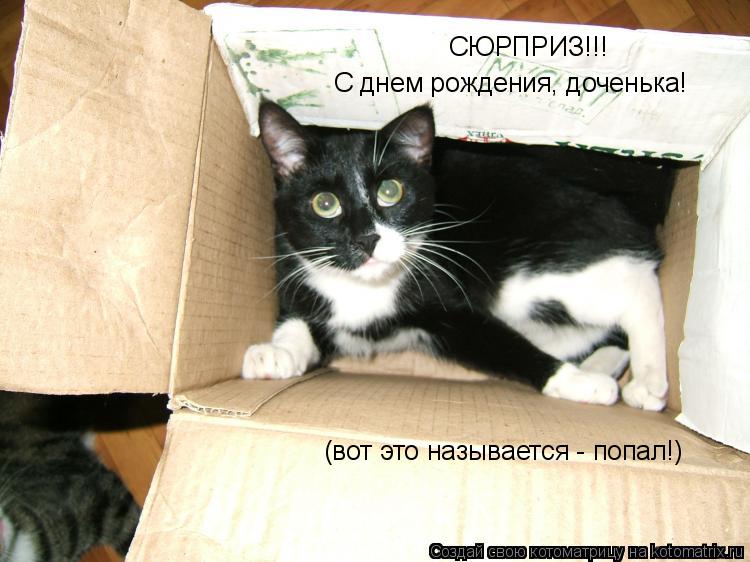 СЮРПРИЗ!!! С днем рождения, доченька! (вот это называется - попал!)... Котоматрица: СЮРПРИЗ!!! С днем рождения, доченька! (вот это называется - попал!)