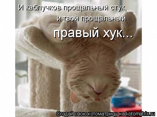 И каблучков прощальный стук, и твой прощальный правый хук...... Котоматрица: И каблучков прощальный стук, и твой прощальный правый хук...