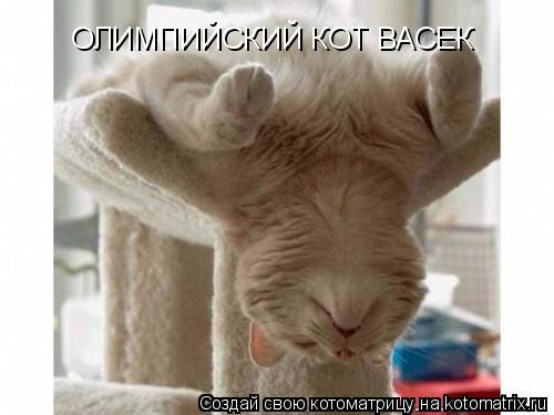 ОЛИМПИЙСКИЙ КОТ ВАСЕК... Котоматрица: ОЛИМПИЙСКИЙ КОТ ВАСЕК