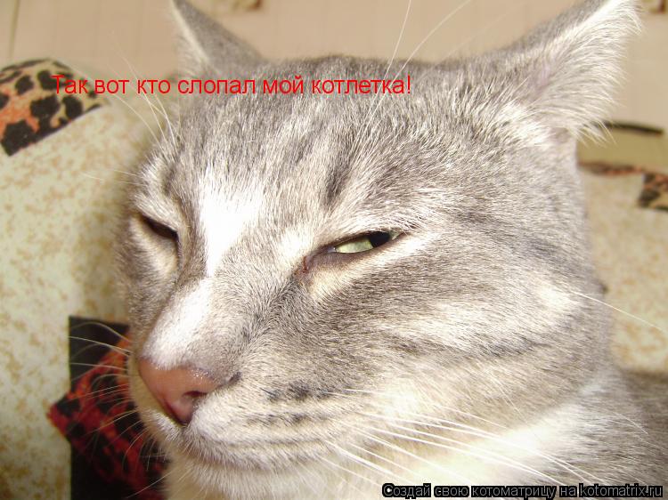 Так вот кто слопал мой котлетка!... Котоматрица: Так вот кто слопал мой котлетка!