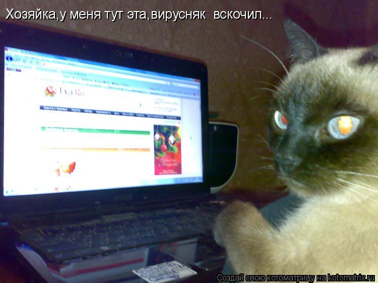 Хозяйка,у меня тут эта,вирусняк вскочил...... Котоматрица: Хозяйка,у меня тут эта,вирусняк вскочил...