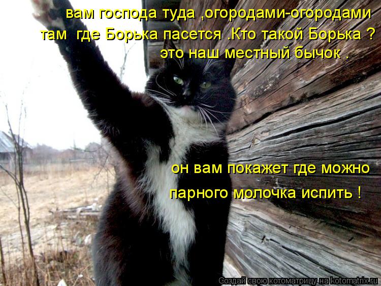 вам господа туда ,огородами-огородами там где Борька пасется .Кто такой Борька ? это наш местный быч... Котоматрица: вам господа туда ,огородами-огородами там где Борька пасется .Кто такой Борька ? это наш местный бычок . он вам покажет где можно парного мо