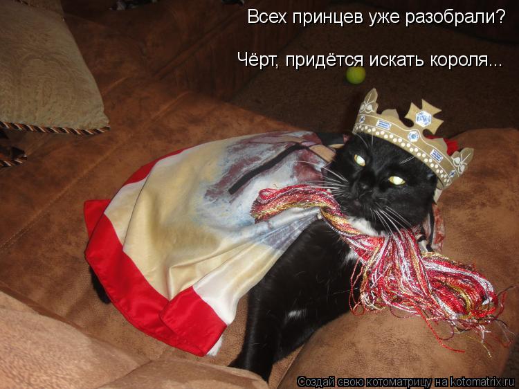 Всех принцев уже разобрали? Чёрт, придётся искать короля...... Котоматрица: Всех принцев уже разобрали? Чёрт, придётся искать короля...