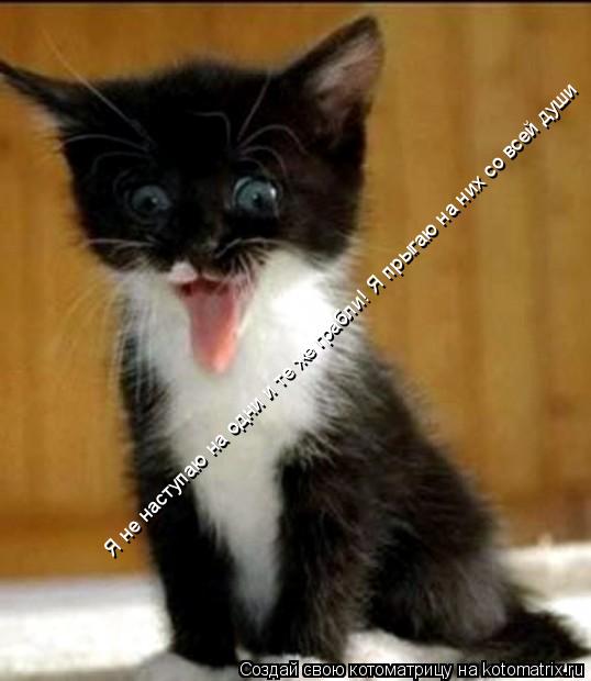Я не наступаю на одни и те же грабли! Я прыгаю на них со всей души... Котоматрица: Я не наступаю на одни и те же грабли! Я прыгаю на них со всей души