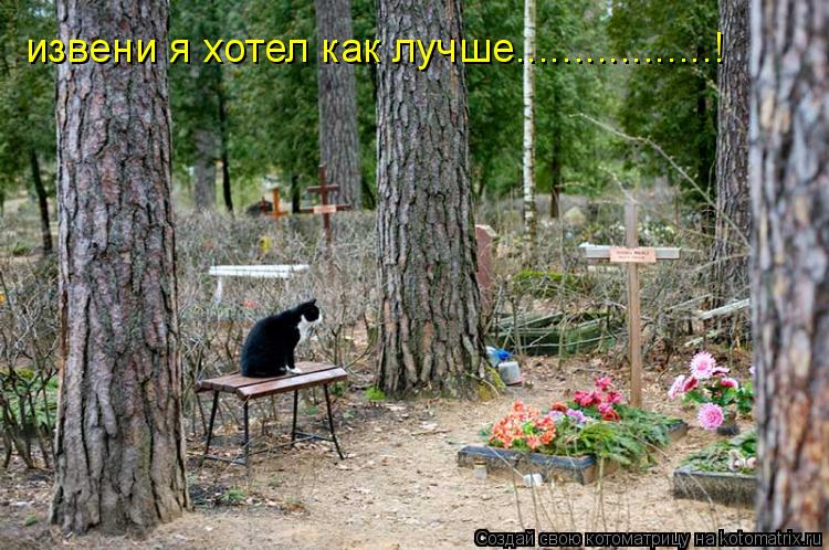 извени я хотел как лучше.................!... Котоматрица: извени я хотел как лучше.................!