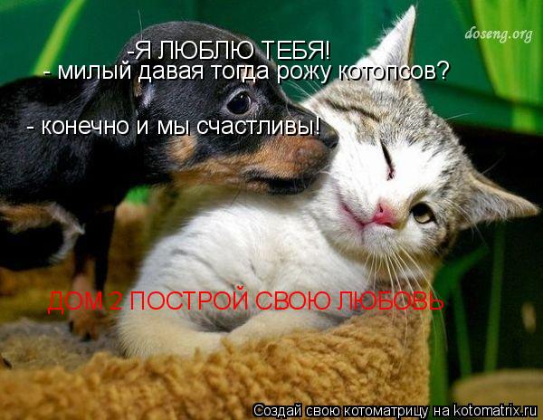 -Я ЛЮБЛЮ ТЕБЯ! - милый давая тогда рожу котопсов? - конечно и мы счастливы! ДОМ 2 ПОСТРОЙ СВОЮ ЛЮБО... Котоматрица: -Я ЛЮБЛЮ ТЕБЯ! - милый давая тогда рожу котопсов? - конечно и мы счастливы! ДОМ 2 ПОСТРОЙ СВОЮ ЛЮБОВЬ
