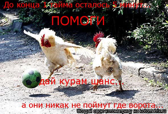 До конца 1 тайма осталось 5 минут... а они никак не поймут где ворота... ПОМОГИ дай курам шанс...... Котоматрица: До конца 1 тайма осталось 5 минут... а они никак не поймут где ворота... ПОМОГИ дай курам шанс...