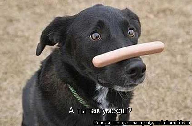 А ты так умееш?... Котоматрица: А ты так умееш?
