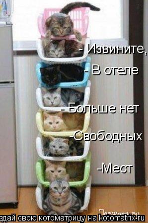 - Извините, - В отеле - Больше нет -Свободных -Мест... Котоматрица: - Извините, - В отеле - Больше нет -Свободных -Мест