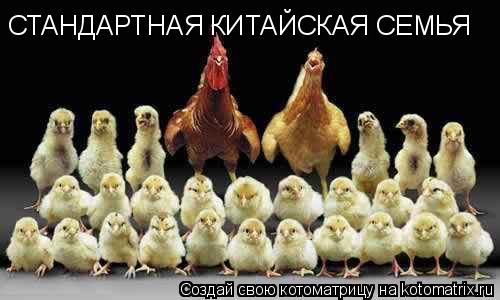 СТАНДАРТНАЯ КИТАЙСКАЯ СЕМЬЯ... Котоматрица: СТАНДАРТНАЯ КИТАЙСКАЯ СЕМЬЯ