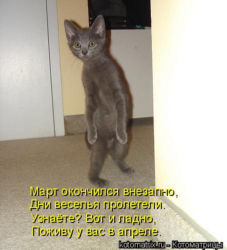Март окончился внезапно, Дни веселья пролетели. Узнаёте? Вот и ладно, Поживу у вас в апреле.... Котоматрица: Март окончился внезапно, Дни веселья пролетели. Узнаёте? Вот и ладно, Поживу у вас в апреле.