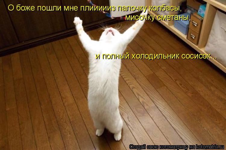 О боже пошли мне плиииииз палочку колбасы, О боже пошли мне плиииииз палочку колбасы, мисочку сметаны... Котоматрица: О боже пошли мне плиииииз палочку колбасы, О боже пошли мне плиииииз палочку колбасы, мисочку сметаны, и полный холодильник сосисок...