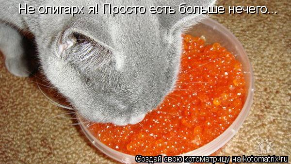 Не олигарх я! Просто есть больше нечего...... Котоматрица: Не олигарх я! Просто есть больше нечего...