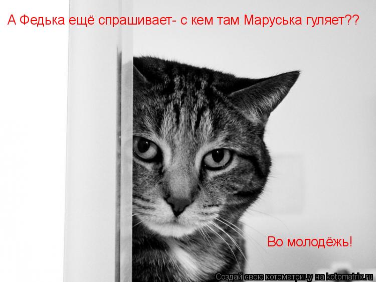 А Федька ещё спрашивает- с кем там Маруська гуляет?? Во молодёжь!... Котоматрица: А Федька ещё спрашивает- с кем там Маруська гуляет?? Во молодёжь!
