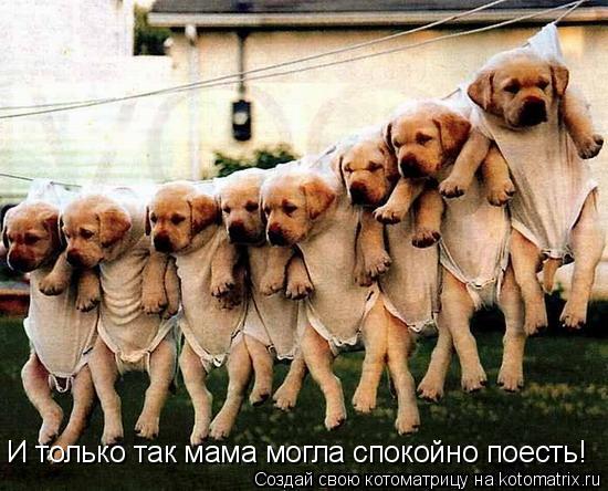 И только так мама могла спокойно поесть!... Котоматрица: И только так мама могла спокойно поесть!