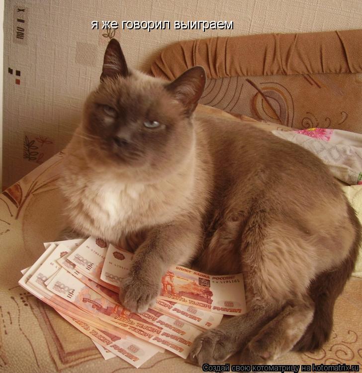 я же говорил выиграем... Котоматрица: я же говорил выиграем