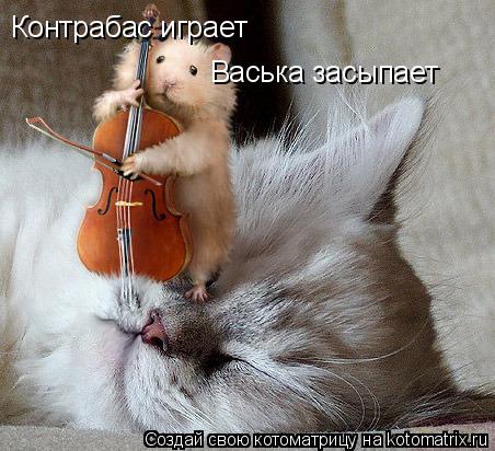 Контрабас играет Васька засыпает... Котоматрица: Контрабас играет Васька засыпает