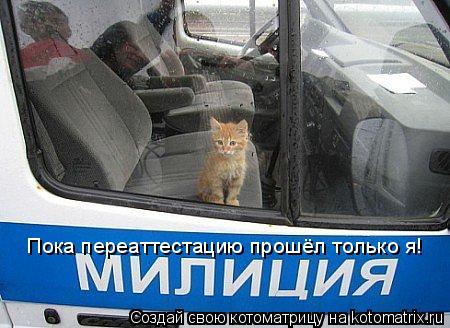 Пока переаттестацию прошёл только я!... Котоматрица: Пока переаттестацию прошёл только я!