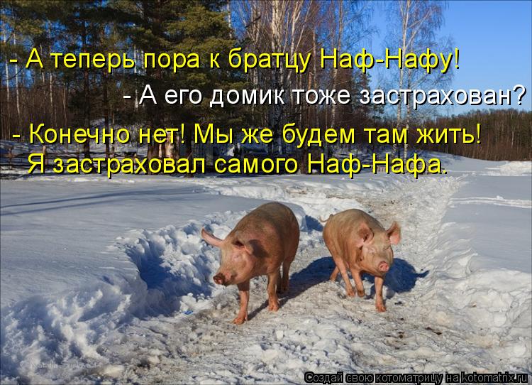 - А теперь пора к братцу Наф-Нафу! - А его домик тоже застрахован? - Конечно нет! Мы же будем там жит... Котоматрица: - А теперь пора к братцу Наф-Нафу! - А его домик тоже застрахован? - Конечно нет! Мы же будем там жить! Я застраховал самого Наф-Нафа.