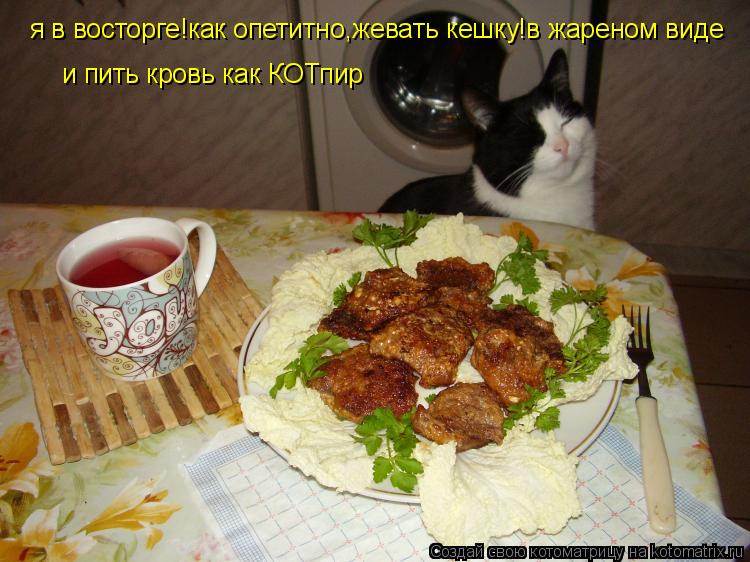 я в восторге!как опетитно,жевать кешку!в жареном виде и пить кровь как КОТпир... Котоматрица: я в восторге!как опетитно,жевать кешку!в жареном виде и пить кровь как КОТпир