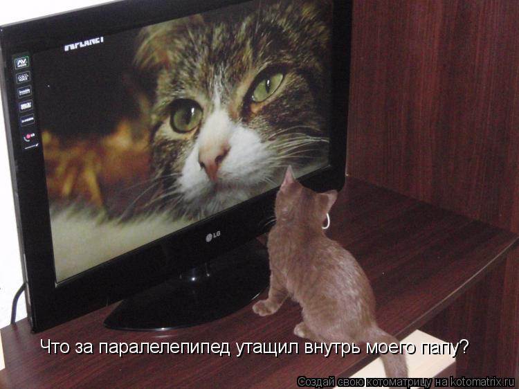 Что за паралелепипед утащил внутрь моего папу?... Котоматрица: Что за паралелепипед утащил внутрь моего папу?