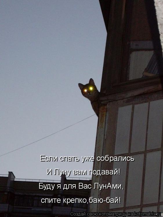 Если спать уже собрались И Луну вам подавай! Буду я для Вас ЛунАми, спите крепко,баю-бай!... Котоматрица: Если спать уже собрались И Луну вам подавай! Буду я для Вас ЛунАми, спите крепко,баю-бай!